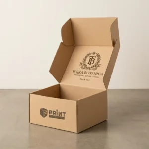 Custom Kraft Mailer Boxes